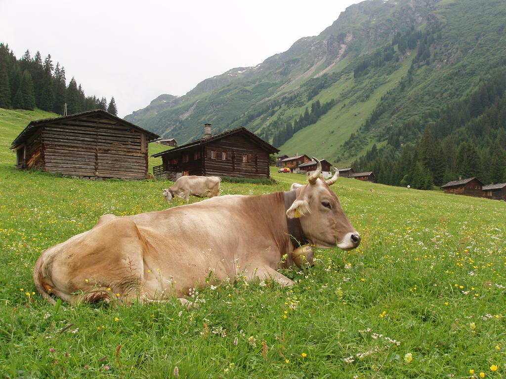 Appart Fernblick Gaschurn Exteriör bild